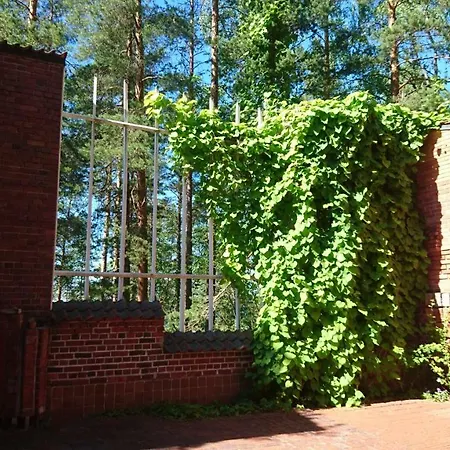 House Saeynaetsalo