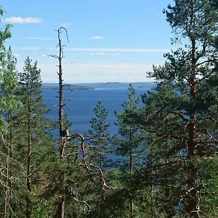 House Saeynaetsalo