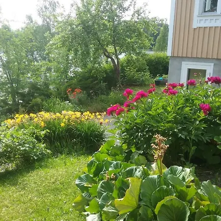 House Saeynaetsalo *