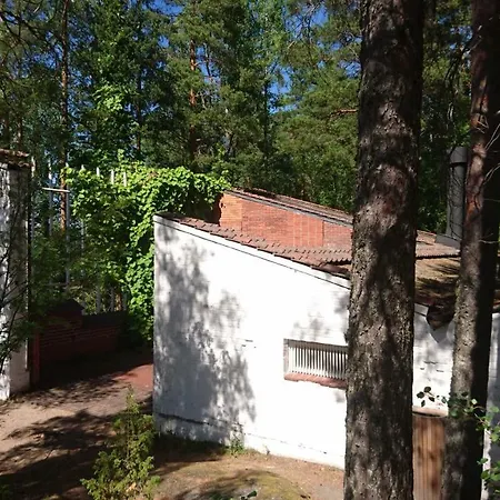 House Saeynaetsalo *